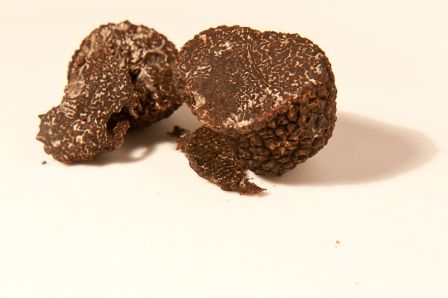 truffe-noire-coupee.jpg, fév. 2011 truffe-noire-coupee.jpg