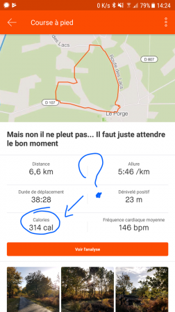 Application Fitness Strava - "cal" ???