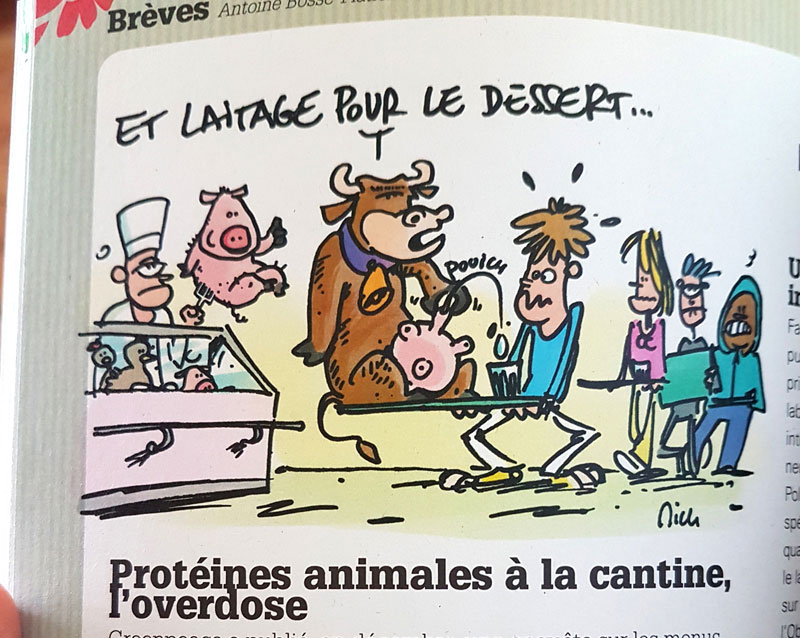 Trop de protéines animales à la cantine ?