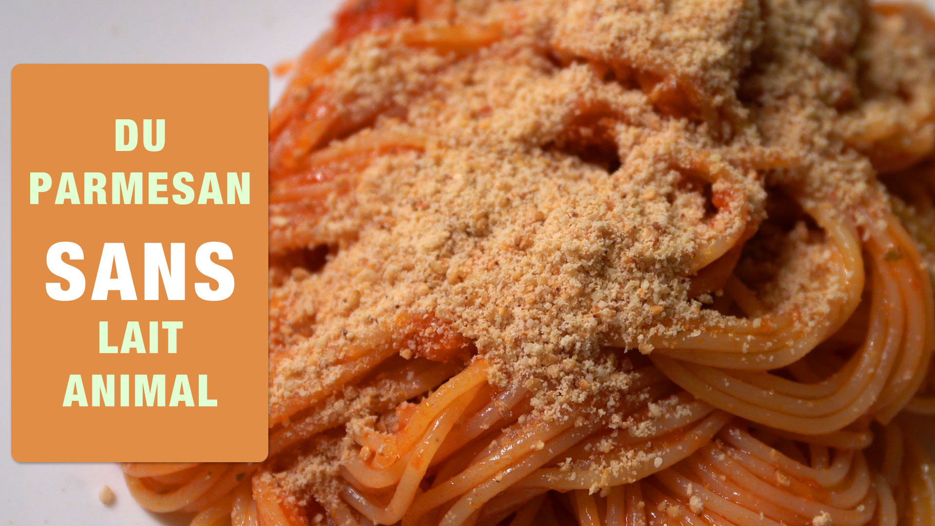 Recette Facile et rapide : Parmesan Végétal Maison sans Produits Laitiers
